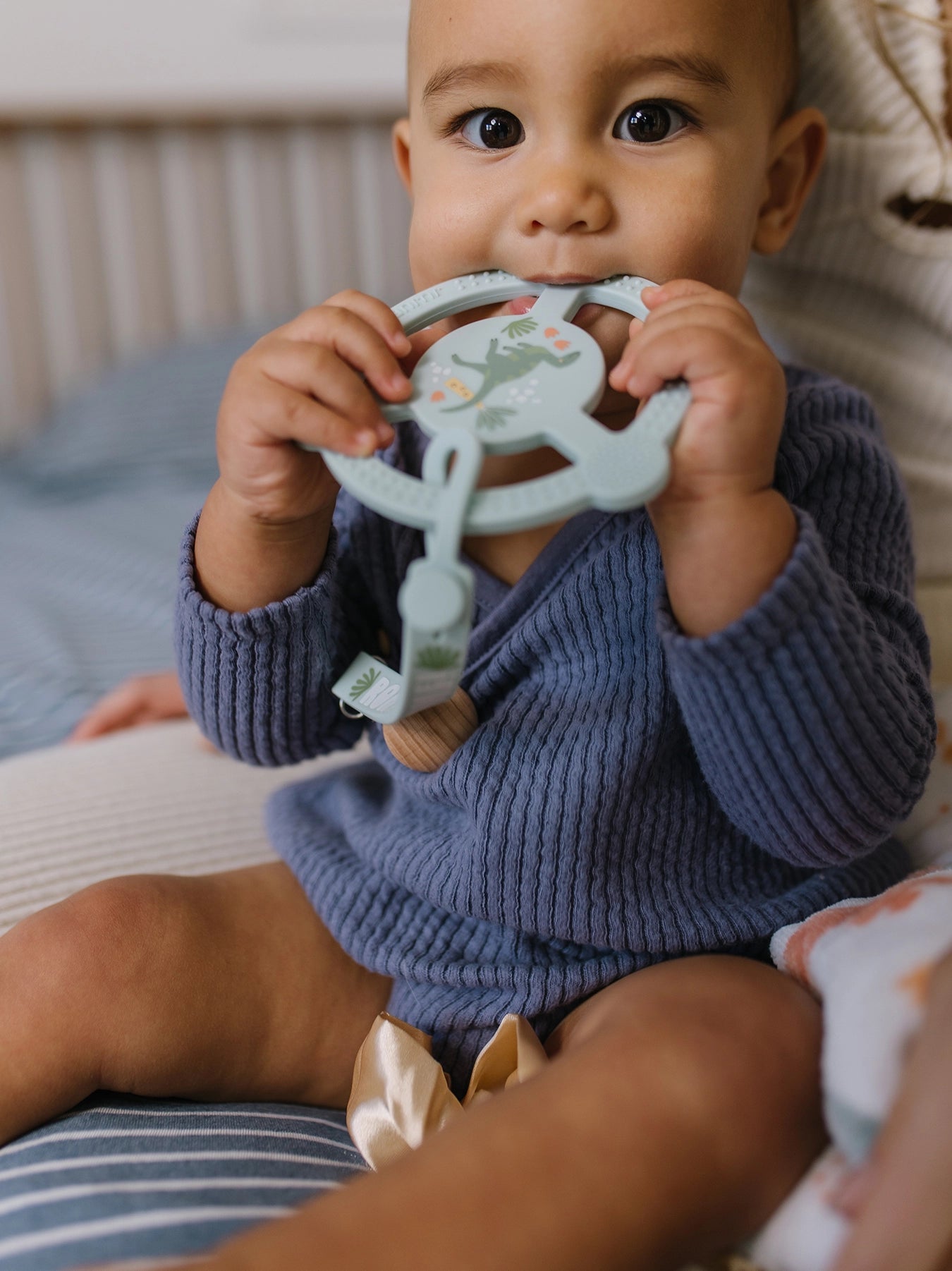 Roarsome Silicone Teether Ring
