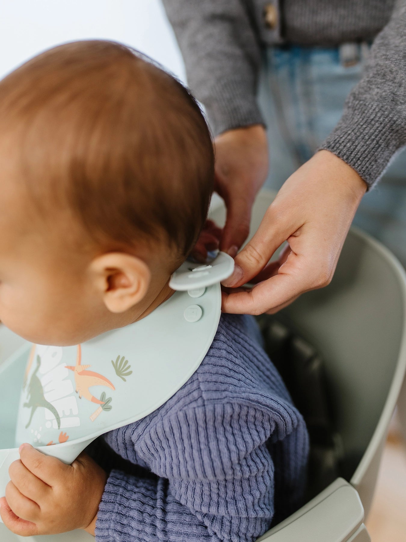 Roarsome Silicone Bib